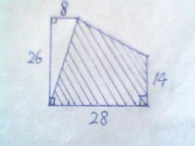 测试后的反思作文