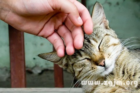 梦见被人抚摸是什么意思