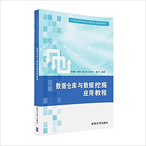 21世纪高等学校电子商务专业规划教材:数据仓库与数据挖掘应用教程