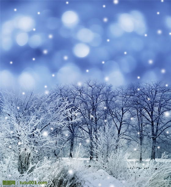 幸福的滋味作文