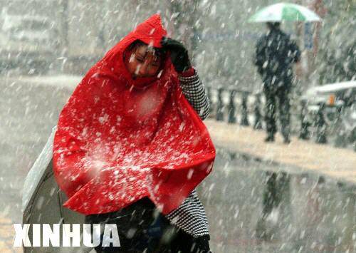 幸福的滋味作文