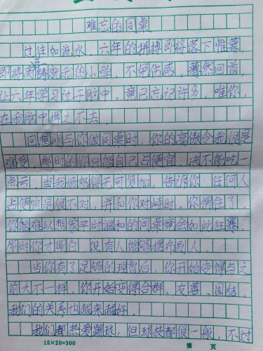 难忘的同桌作文