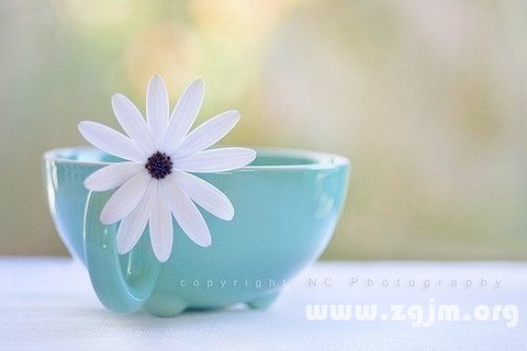μŧʲô˼