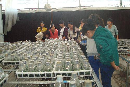 拒宅行动,刻不容缓!作文