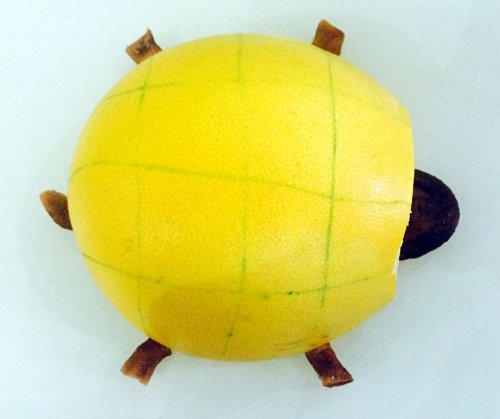 ˮ