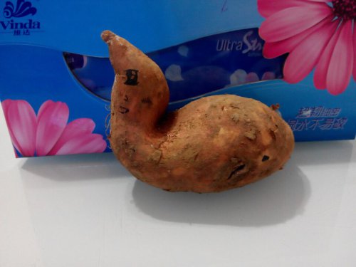 ˮ