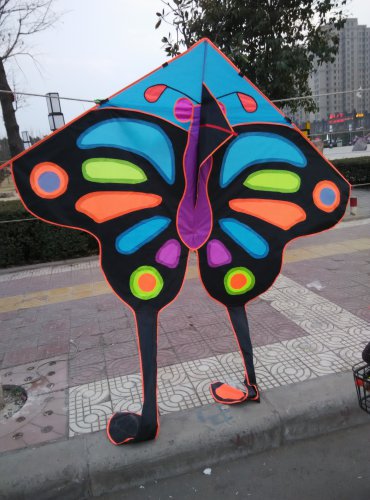 【寒假在成长】 找春天作文