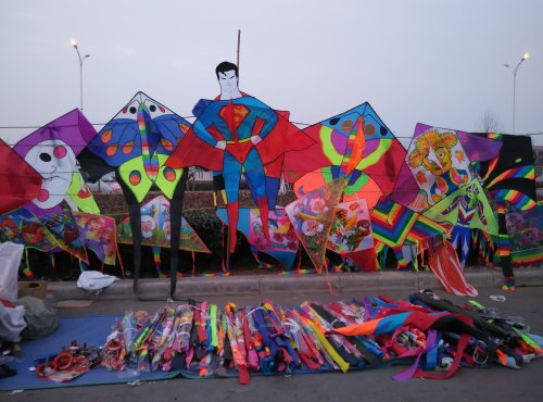 【寒假在成长】 找春天作文