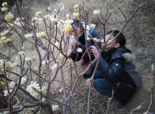 【寒假在成长】 找春天作文