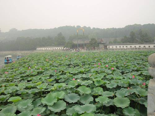 北京之行(五)作文