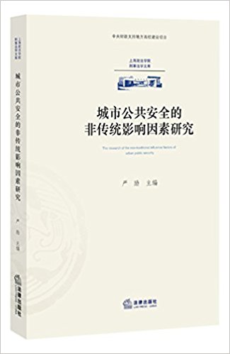 ���й�����ȫ�ķǴ�ͳӰ�������о�