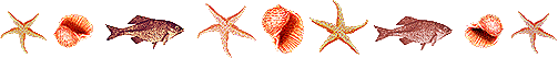 տ