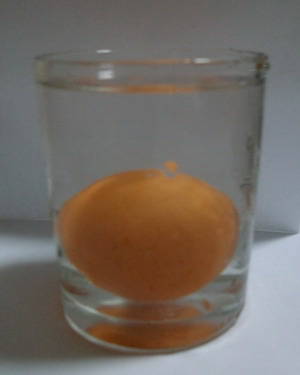 点击查看下一张 有趣的小试验作文