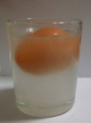 点击查看下一张 有趣的小试验作文