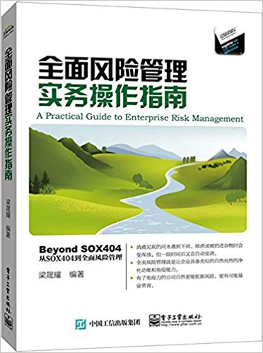 全面风险管理实务操作指南