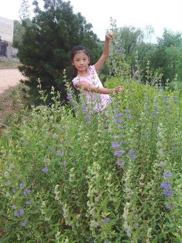 亲近大自然作文