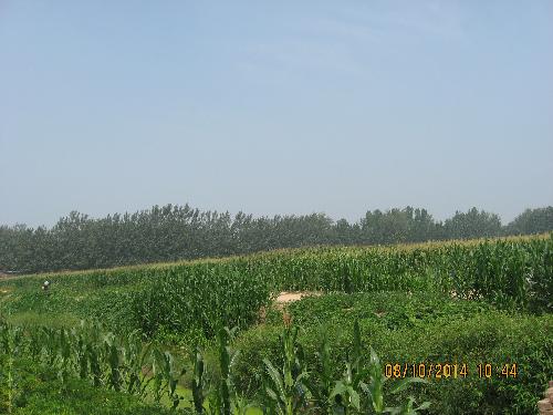 亲近大自然作文