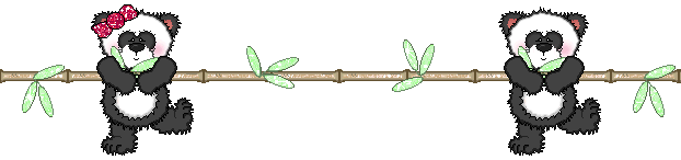 (搜集整理)上千条精美分割线(五) - 异乡客 - 异乡客的博客 熊猫的自我介绍作文