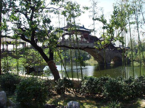 台儿庄的桥作文