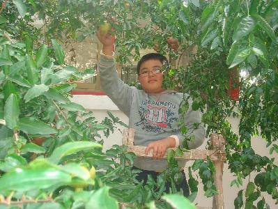 我家的采摘节(附照片)作文