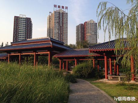 盛夏之美:那些美丽的清晨和黄昏作文