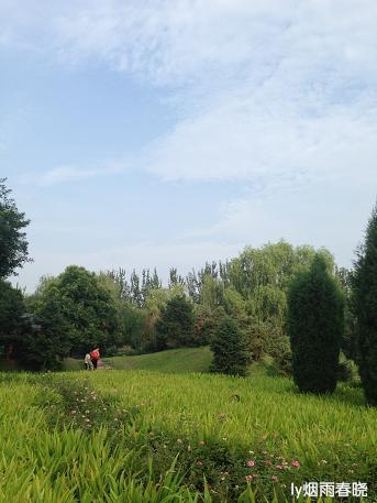 盛夏之美:那些美丽的清晨和黄昏作文