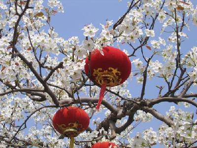 桃花源记——第八期读书交流会作文