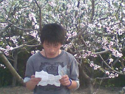 桃花源记——第八期读书交流会作文