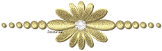 Ѽǧָߣģ -  - ͵Ĳ