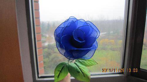 跟我学做丝网花作文