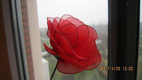 跟我学做丝网花作文