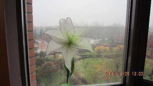 跟我学做丝网花作文