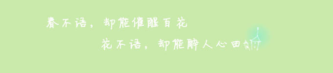 写给婧婧当选博腕一周年作文