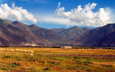 美丽的拉萨,美丽的西藏(附图)作文