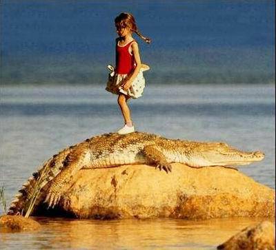 不止是震撼——共读《我的野生动物朋友》有感作文