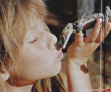 不止是震撼——共读《我的野生动物朋友》有感作文