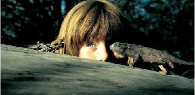 不止是震撼——共读《我的野生动物朋友》有感作文