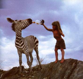 不止是震撼——共读《我的野生动物朋友》有感作文