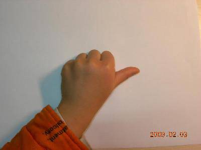 拳头变变变----跟我学画小动物作文