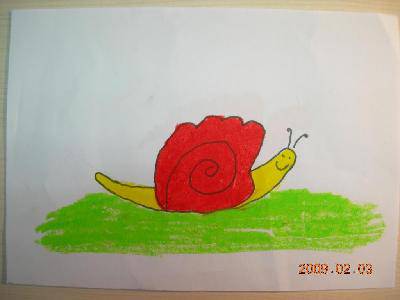 拳头变变变----跟我学画小动物作文