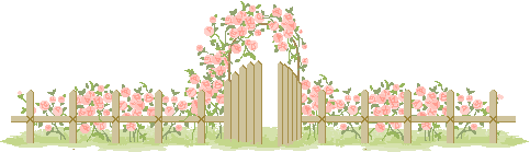 拳头变变变----跟我学画小动物作文