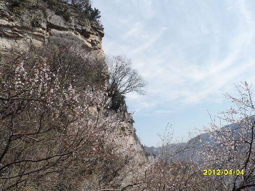 登神农山--挑战自己作文