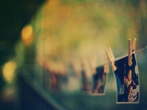 ټ֪ʶȫ֮