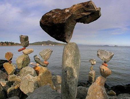 真正的教育像摆放艺术品作文