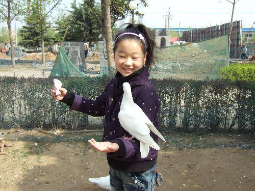 孩子,慢慢来作文