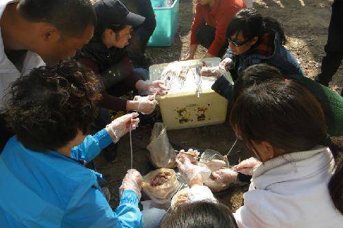 由一次暴走所想到的童年往事作文