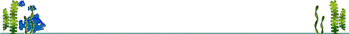 顶ĳ˷ ܽ