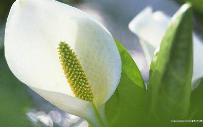 自主探索兴致高——《数的奇偶性》教学过程及反思作文