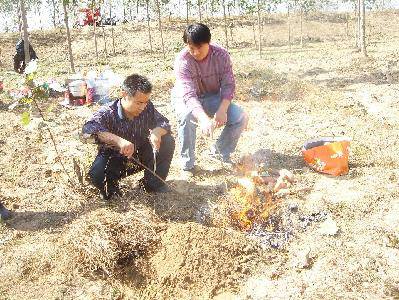 我郊游,我快乐!(附照片)作文