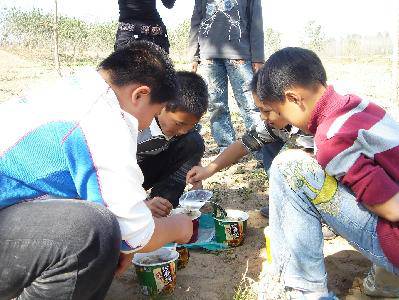 我郊游,我快乐!(附照片)作文